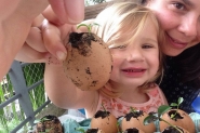 Me e filha distribuem mudas de plantas em cascas de ovos