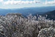 Cidades de SC tm temperaturas negativas e geada nesta segunda-feira