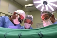 Mdicos de SC explicam caminho do transplante, do doador ao receptor