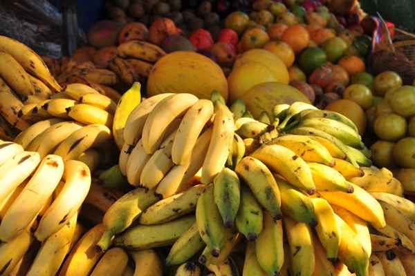 Valor Bruto da Produo Agropecuria Catarinense deve superar R$ 28 bilhes em 2016