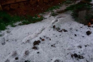 Granizo e vendaval atingem Serra e Oeste de SC e causam prejuzos