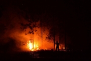 Bombeiros combatem por 18 horas incndio em vegetao de Palhoa