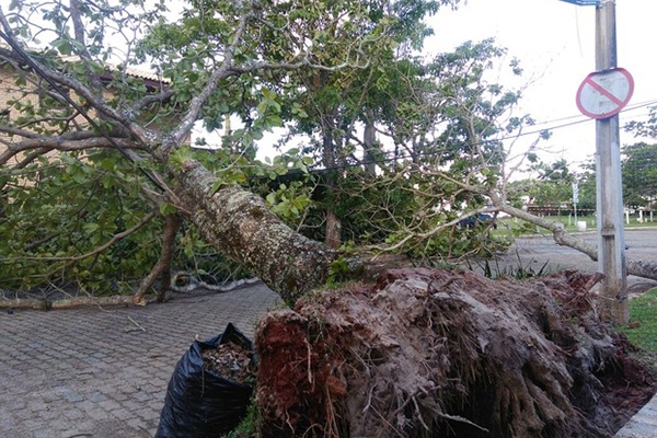 Mais de 40 mil unidades continuam sem luz na Grande Florianpolis