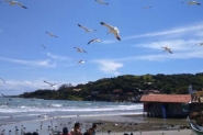 48 dos 214 pontos analisados pela Fatma esto imprprios para banho
