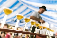  Festa Pomerana inicia nesta quinta-feira