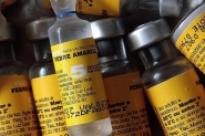SC investiga 4 casos de febre amarela