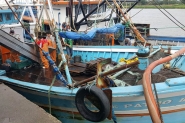 Ibama apreende 12 toneladas de pescados em Navegantes