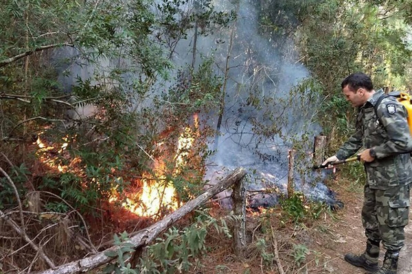 Focos de inc�ndio batem recorde hist�rico para o m�s de julho em SC, aponta Inpe