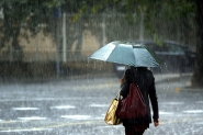 Chuva volta, mas n�o suficiente para conter estiagem em SC