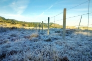 Semana come�a com temperatura negativa e geada na Serra de SC
