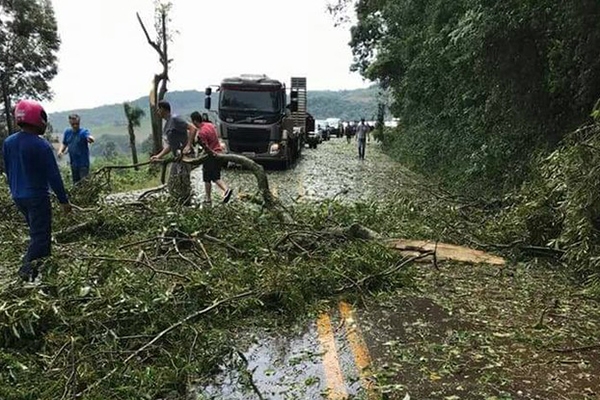 Granizo e vendaval provocam estragos no Oeste