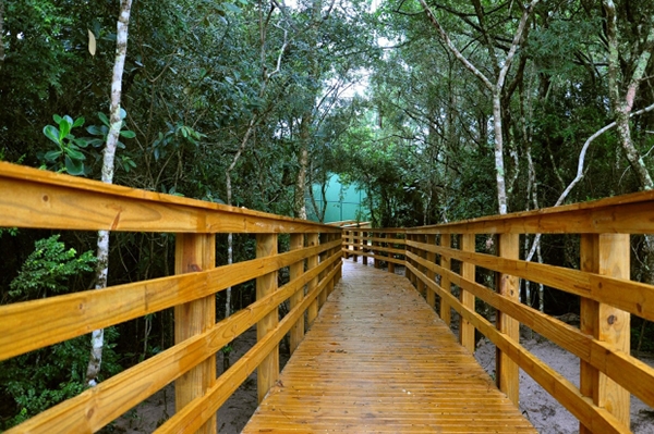 Parques estaduais terão funcionamento alterado durante as festas de fim de ano
