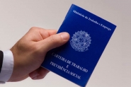 SC tem saldo positivo de mais de 7,2 mil vagas de emprego formal
