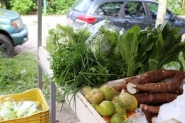 Santa Catarina cria Política Estadual de Incentivo às Feiras de Produtos Orgânicos