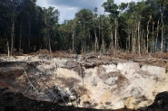 Brasil  4 pas que mais mata ativistas ambientais, diz ONG