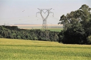 Celesc alerta produtores catarinenses para recadastramento de Tarifa Rural