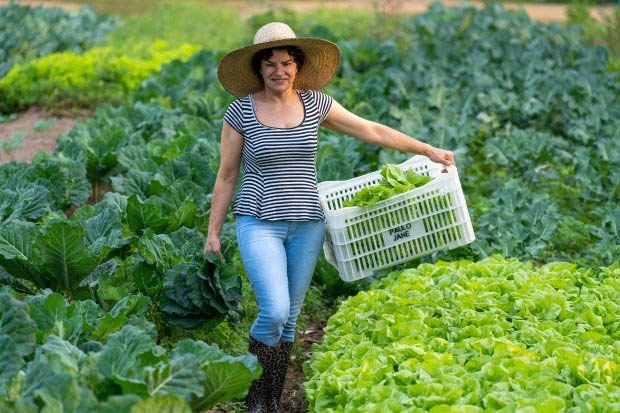 Jovens e mulheres terão prioridade em programas da Agricultura de SC