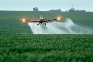 Governo autoriza mais 57 agrotxicos; total de registros em 2019 chega a 382
