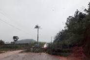 Chuva causa queda de rvore e pontos de alagamentos em Gaspar