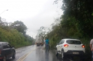 rvore cai na Rodovia Ivo Silveira, em Gaspar