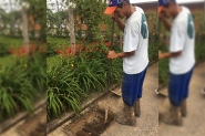 Superintendncia do Belchior limpa bocas de lobo do bairro
