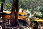 Avio monomotor cai em bananal em Ilhota