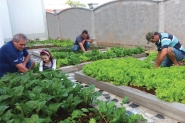 Moradores cuidam de horta comunitria no bairro Poo Grande