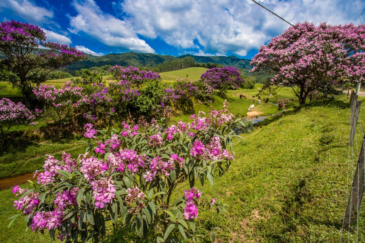 Gaspar concorre ao Top 100 dos principais destinos turísticos sustentáveis 2020