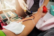 Hemosc precisa de doao de sangue de todas as tipagens 