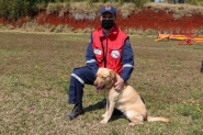 Novo co labrador chega para compor equipe dos bombeiros de SC