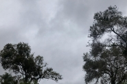 Instabilidade meteorolgica marca primeira quinzena de setembro em Santa Catarina