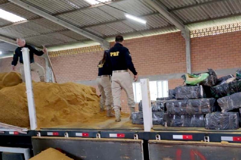 Mais de três toneladas de maconha são encontradas em carga de farelo de milho em SC