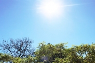 Outubro começa com calor intenso em todo o estado de Santa Catarina