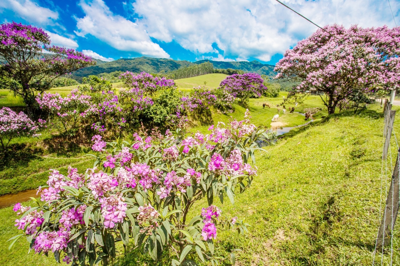 Gaspar no Top 100 dos principais destinos tursticos sustentveis 2020 