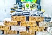 Polcia do Paran prende blumenauense com mais de 400 quilos de maconha