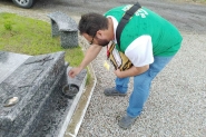 Trs focos do mosquito Aedes aegypti so encontrados nos bairros Barraco e Centro, em Gaspar