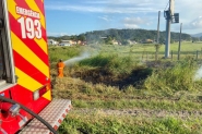 Bombeiros apagam fogo em mato s margens da BR-470, em Gaspar