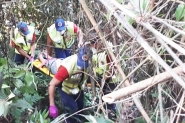 Jovem desaparecida em Blumenau  encontrada na mata em Gaspar