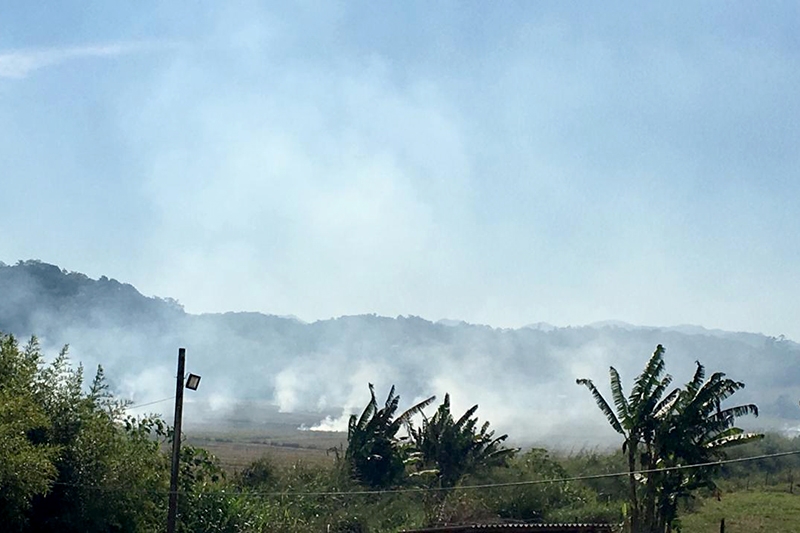 Fumaça gerada por queima de arrozeiras incomoda moradores e empresários em Gaspar