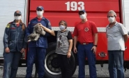 Bombeiros resgatam gato preso em telhado de residência na Margem Esquerda