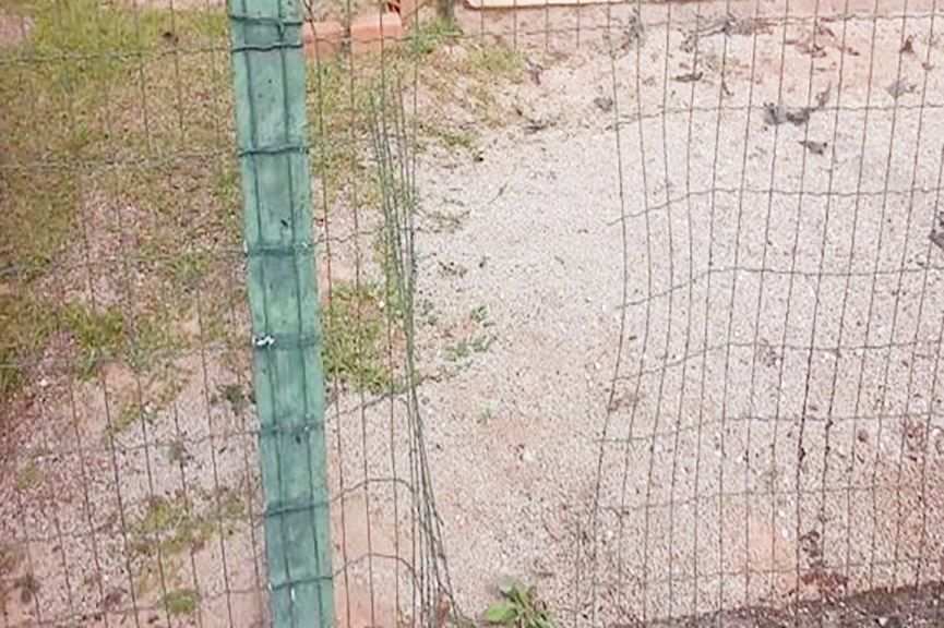 Escola do Gaspar Grande é alvo de ação criminosa