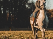 Idosa é levada ao hospital após cair de cavalo em hotel fazenda de Gaspar