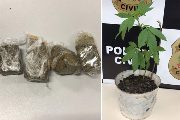 Polícia Civil prende traficante de drogas no Bela Vista, em Gaspar