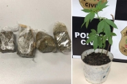 Polícia Civil prende traficante de drogas no Bela Vista, em Gaspar