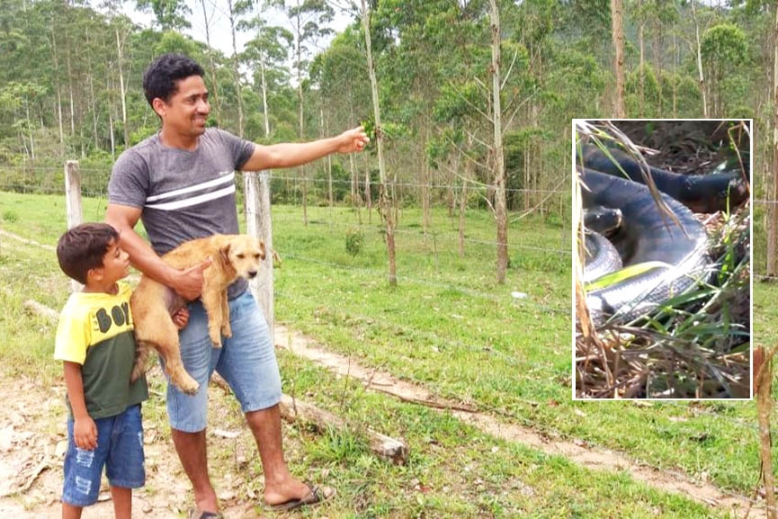 Fake news: morador do bairro Macuco causa p�nico ao afirmar que cobra gigante foi vista em Gaspar