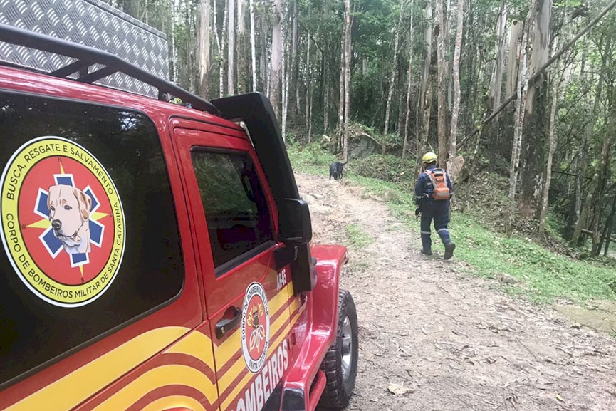 Bombeiros e cão farejador buscam por homem desaparecido em Gaspar