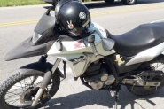 Cachorro morre após ser atropelado por moto em Gaspar