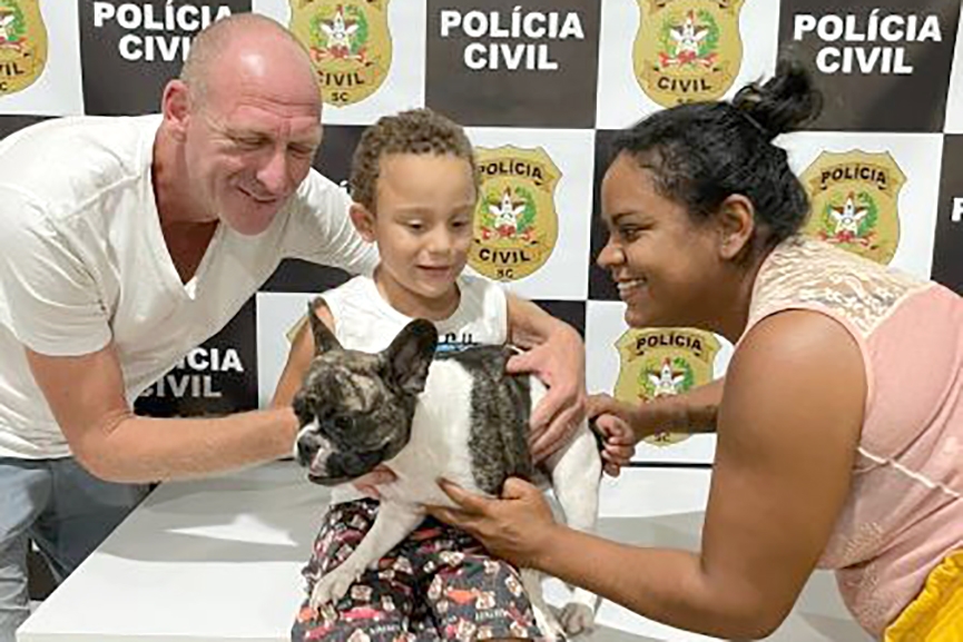 Cão furtado em Gaspar é encontrado em Blumenau menos de 24h após o crime