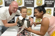 Cão furtado em Gaspar é encontrado em Blumenau menos de 24h após o crime