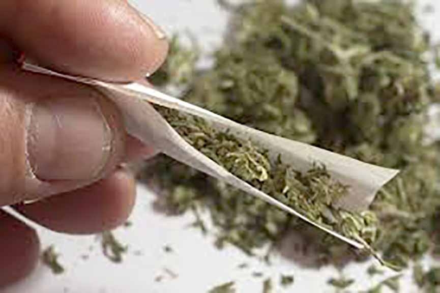 Dois menores são pegos com maconha em ponto de ônibus em Ilhota